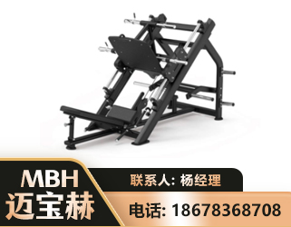 廊坊45°倒蹬训练器