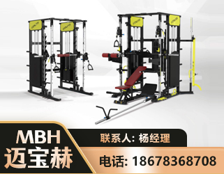 廊坊多功能综合训练器