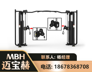 廊坊大飞鸟训练器